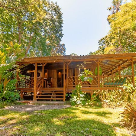 Casa Viva Lodge Puerto Viejo de Talamanca Екстериор снимка
