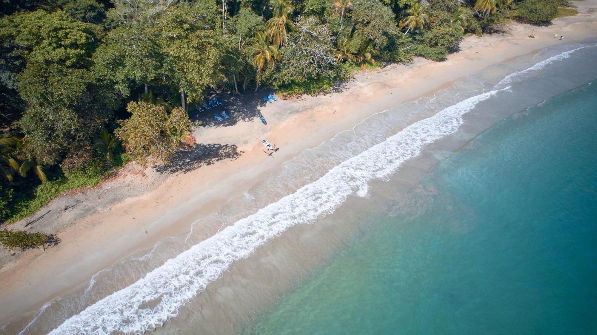 Casa Viva Lodge Puerto Viejo de Talamanca Екстериор снимка