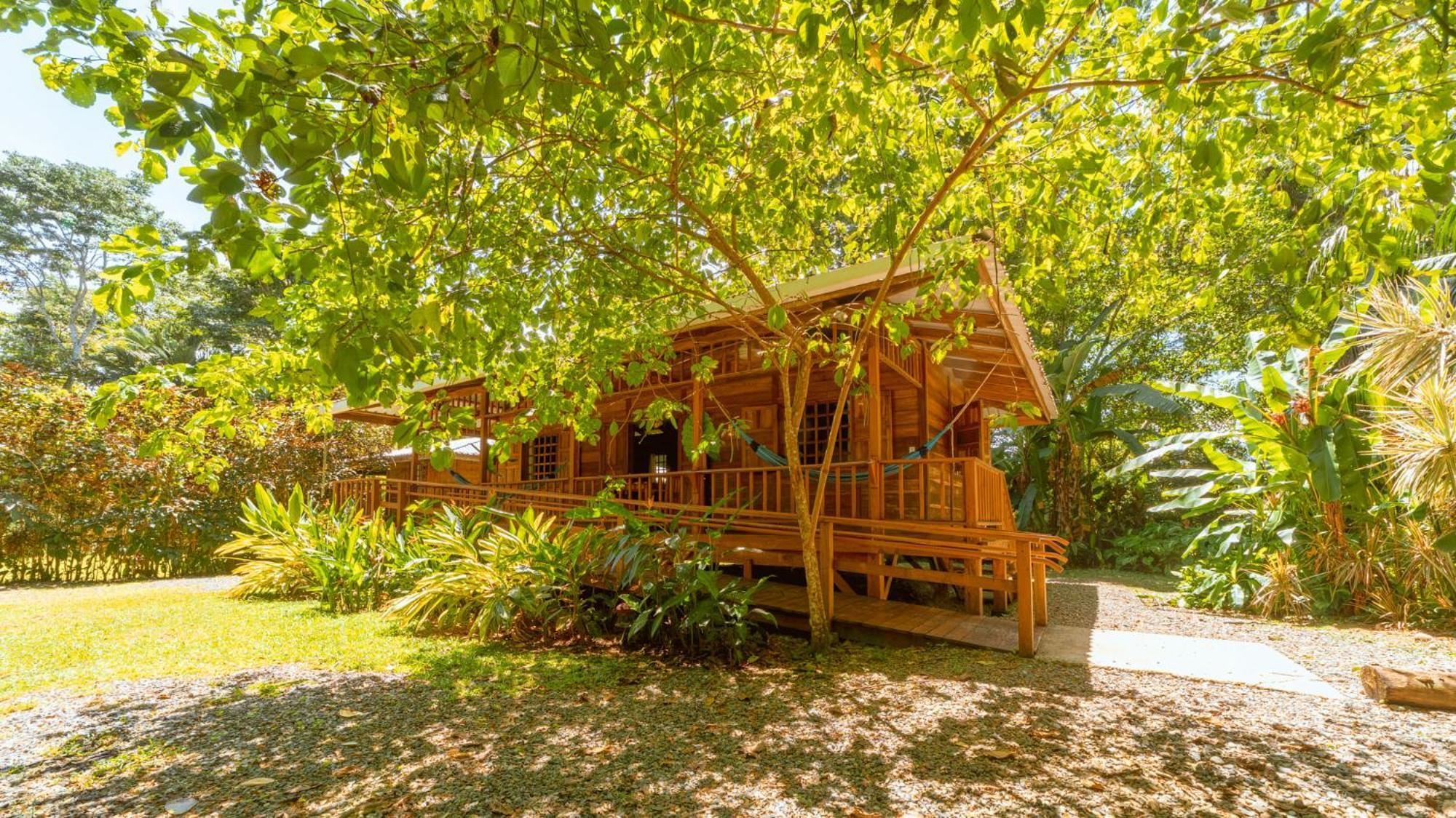 Casa Viva Lodge Puerto Viejo de Talamanca Екстериор снимка