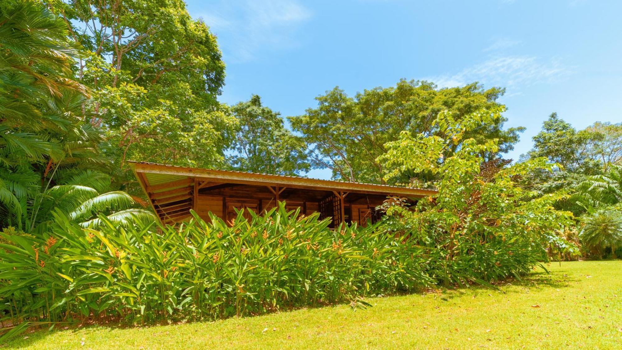Casa Viva Lodge Puerto Viejo de Talamanca Екстериор снимка
