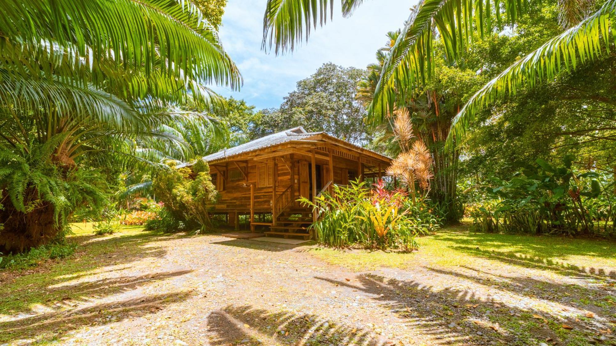 Casa Viva Lodge Puerto Viejo de Talamanca Екстериор снимка