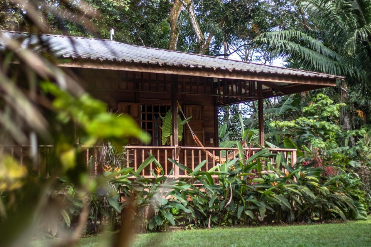 Casa Viva Lodge Puerto Viejo de Talamanca Екстериор снимка