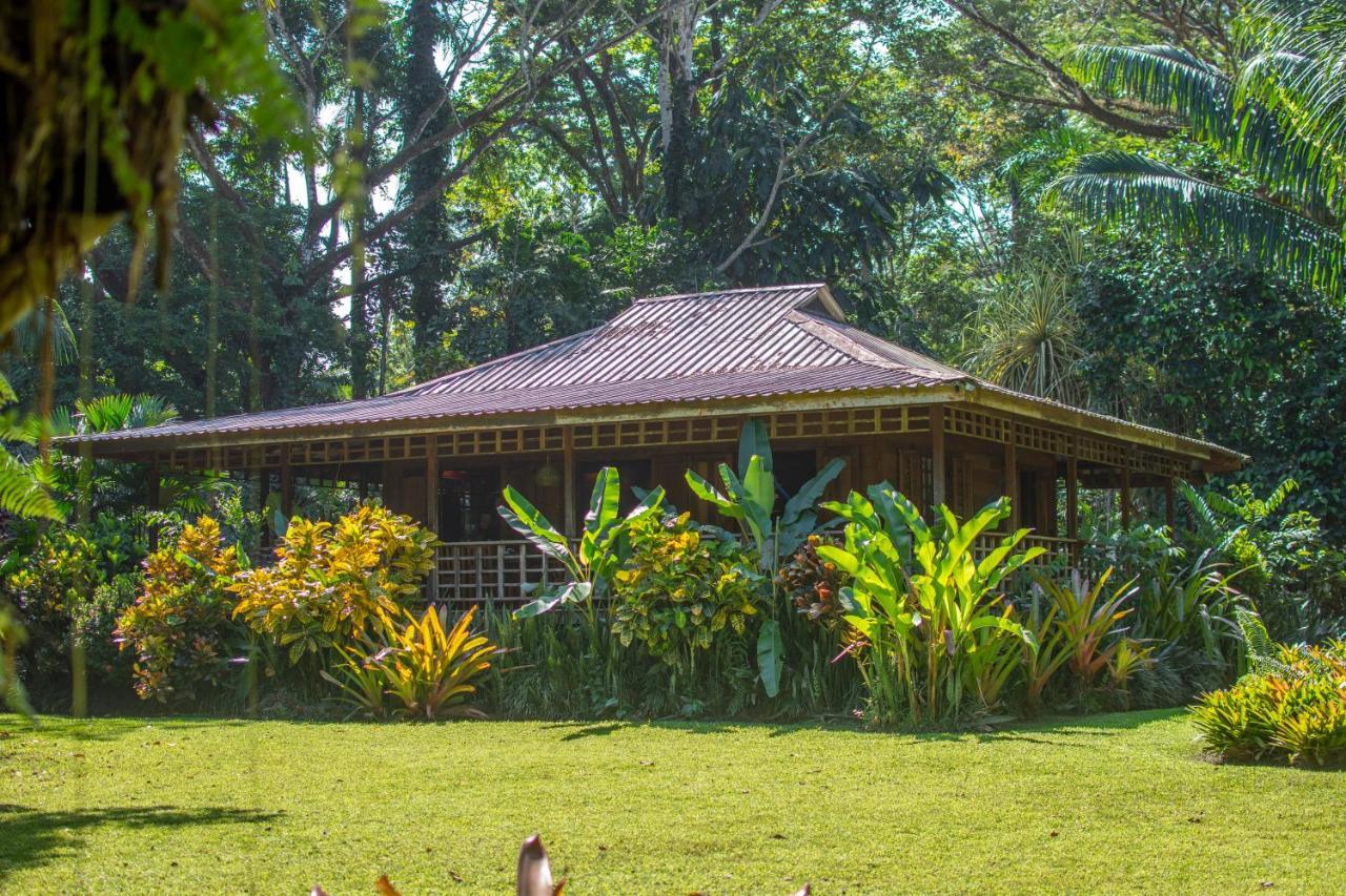 Casa Viva Lodge Puerto Viejo de Talamanca Екстериор снимка