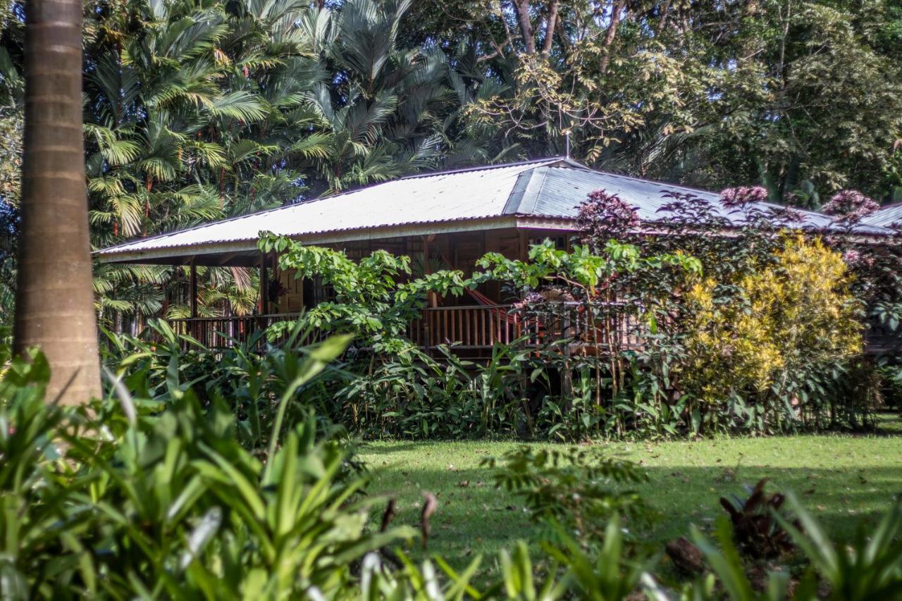 Casa Viva Lodge Puerto Viejo de Talamanca Екстериор снимка