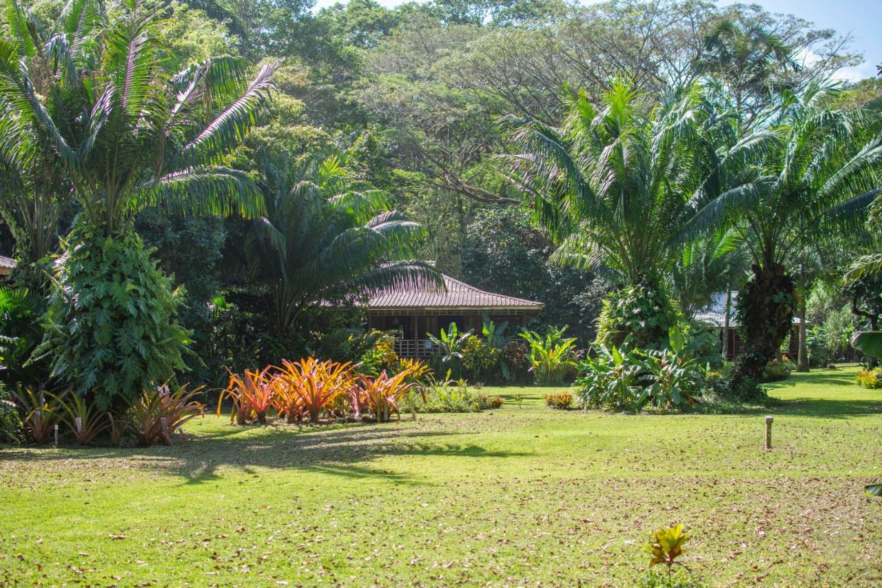 Casa Viva Lodge Puerto Viejo de Talamanca Екстериор снимка