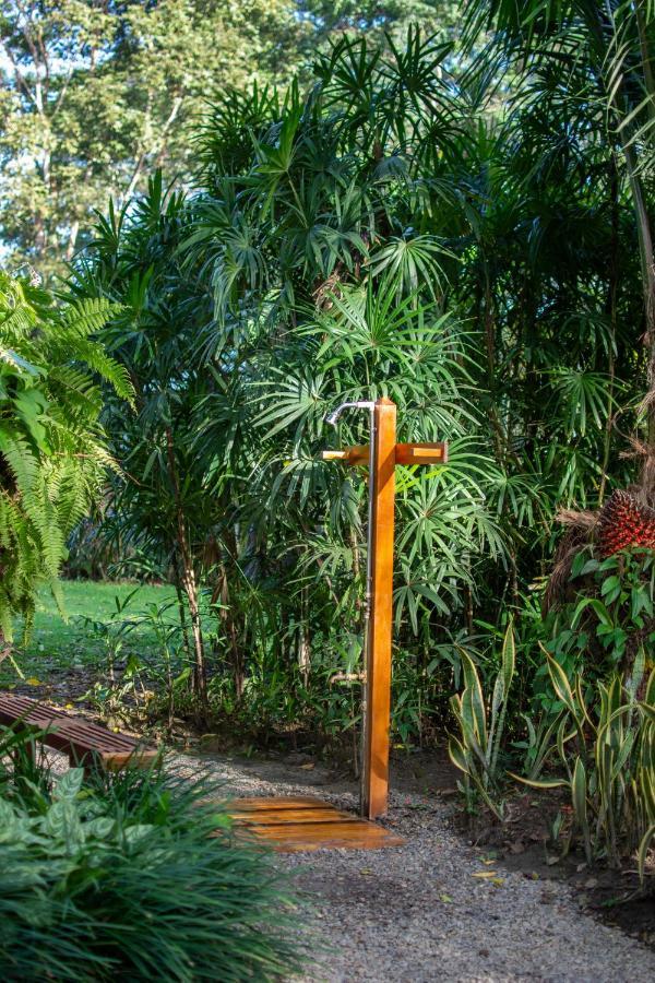 Casa Viva Lodge Puerto Viejo de Talamanca Екстериор снимка