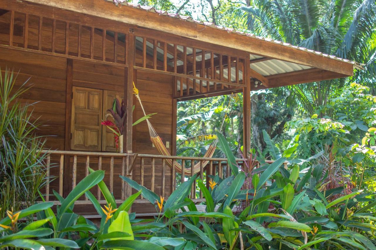 Casa Viva Lodge Puerto Viejo de Talamanca Екстериор снимка