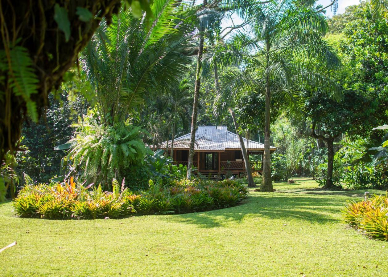 Casa Viva Lodge Puerto Viejo de Talamanca Екстериор снимка